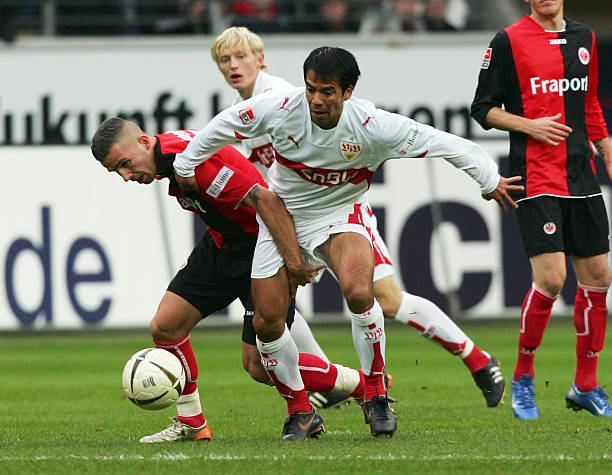 不仅显示出 不仅显示出